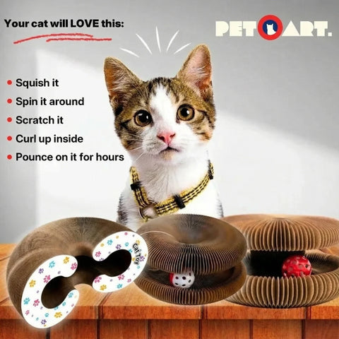 Interactive Spinning Cat Scratcher