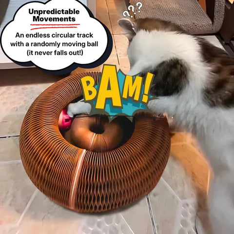 Interactive Spinning Cat Scratcher